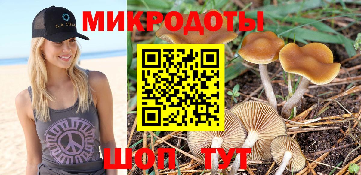 Галлюциногенные грибы GOLDEN TEACHER  Вход с VPN  Кисловодск 