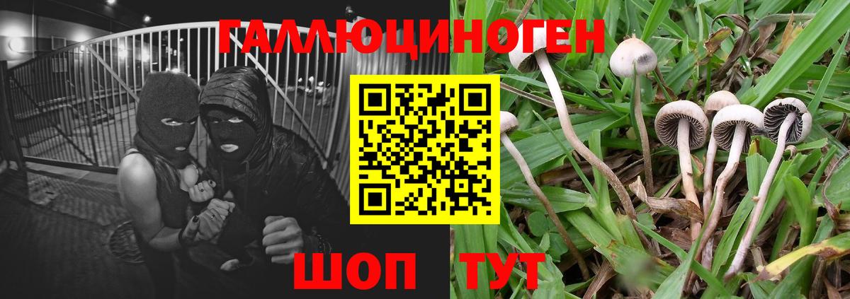 Псилоцибиновые грибы ЛСД Кисловодск